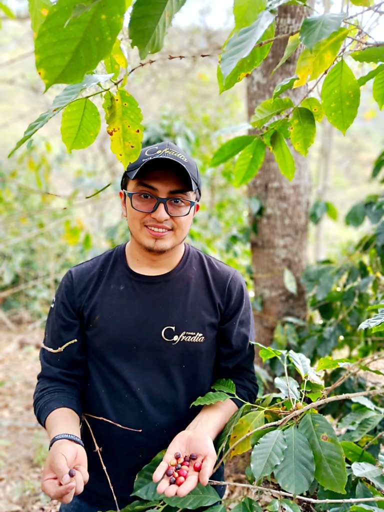 Finca Cofradía — Paltas